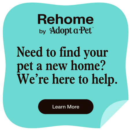 Rehome by Adopt a Pet